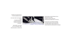 Desktop Screenshot of eckenroth-stiftung.de